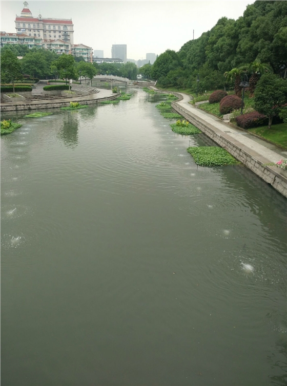 龍鐵沉水風機應用案例