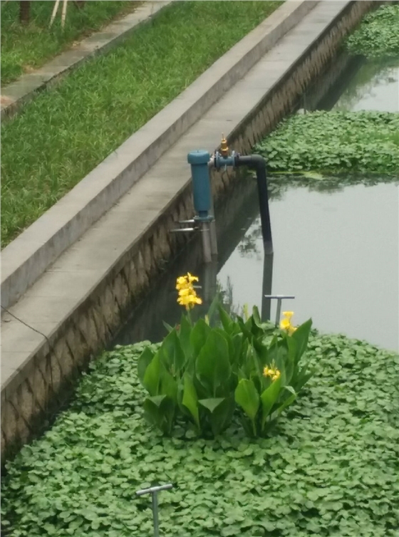 龍鐵沉水式鼓風機