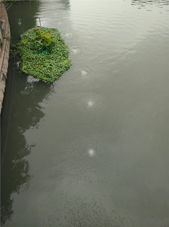 龍鐵沉水式鼓風機廠家