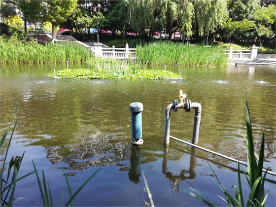 沉水鼓風(fēng)機電機要在水下么