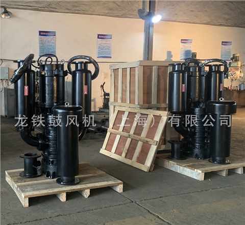 沉水魯氏鼓風(fēng)機(jī)