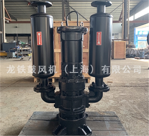 沉水魯氏鼓風(fēng)機(jī)