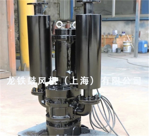 沉水魯氏鼓風(fēng)機(jī)