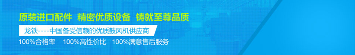龍鐵締造100%高品質(zhì)、高性價比鼓風機