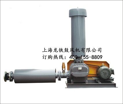 龍鐵魯氏鼓風(fēng)機.jpg