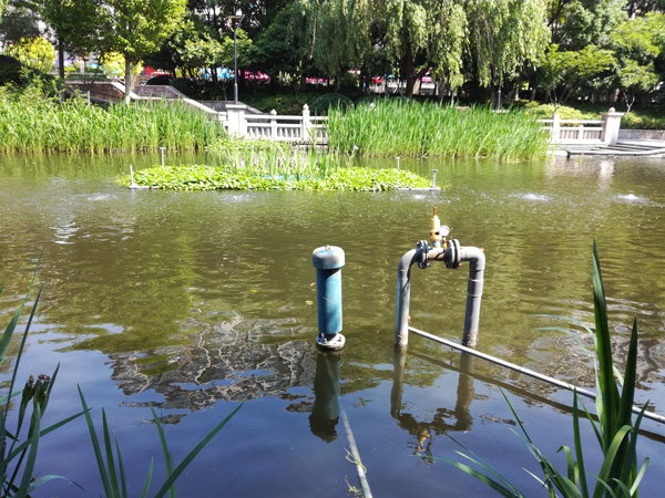 沉水鼓風(fēng)機電機要在水下么