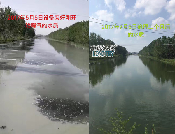 沉水風(fēng)機(jī)治理前后對比圖